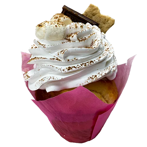 S'mores Cupcake